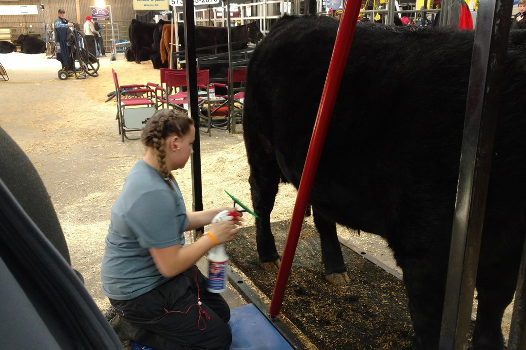 Catch-a-Calf Contest