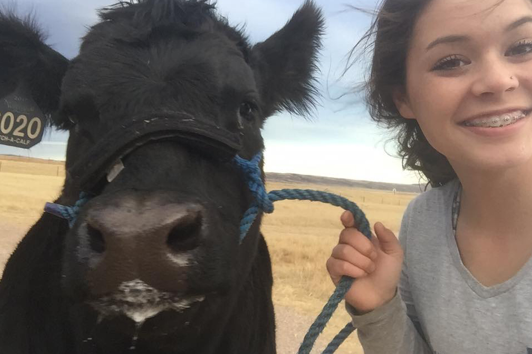 Catch-a-Calf Contest