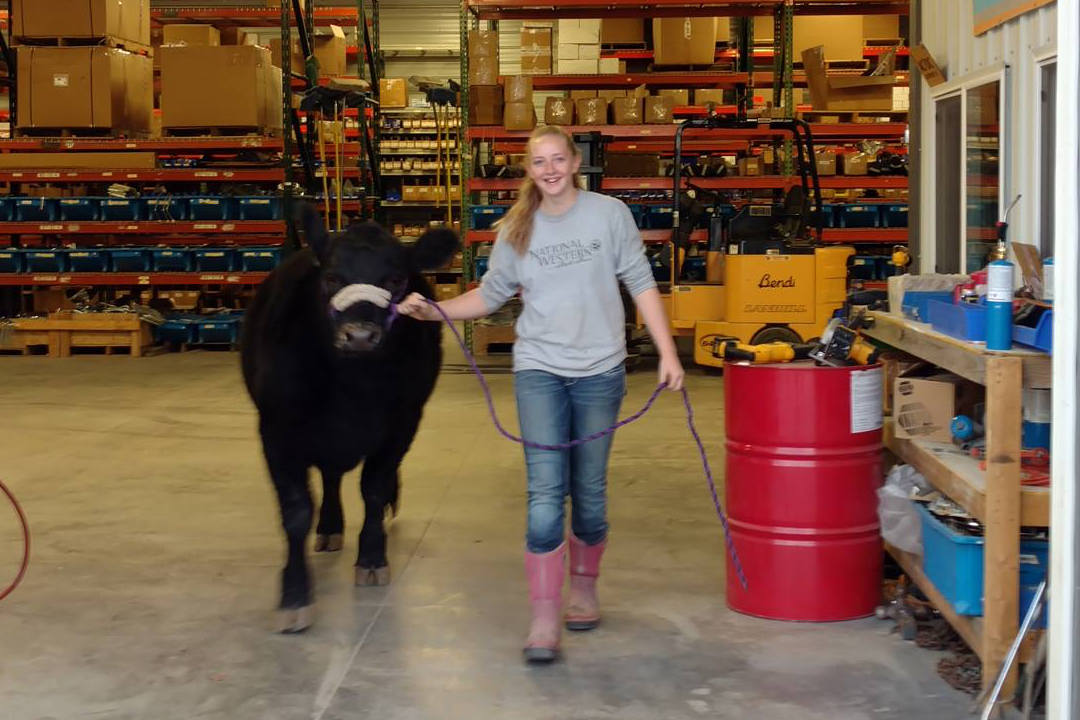 Catch-a-Calf Contest