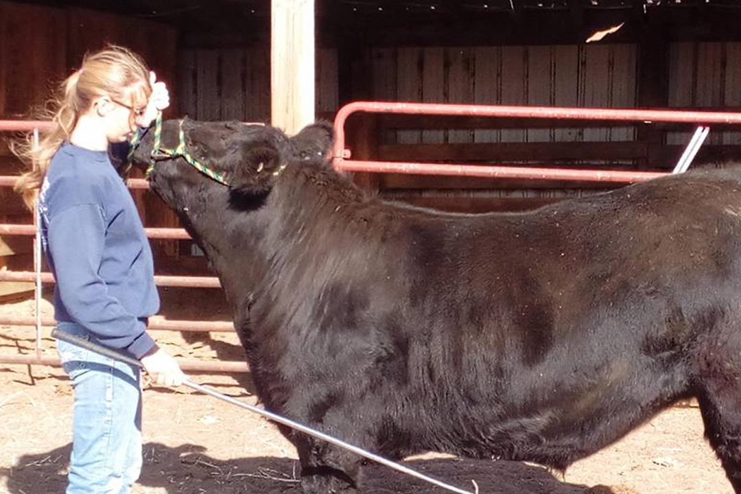 Catch-a-Calf Contest