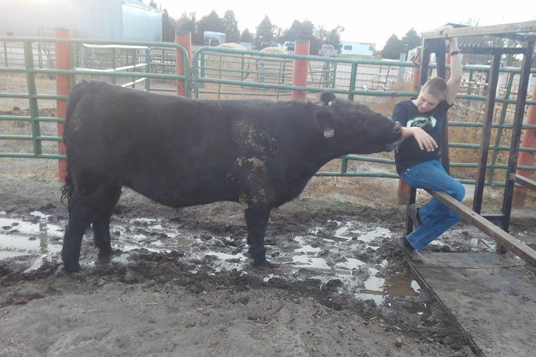 Catch-a-Calf Contest