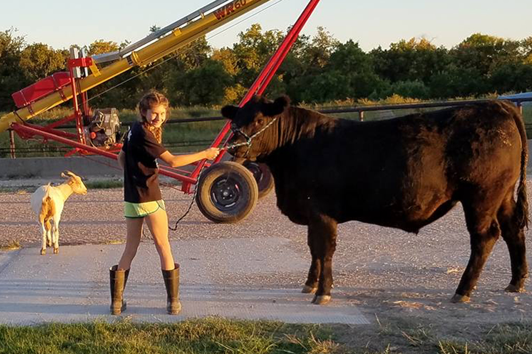 Catch-a-Calf Contest