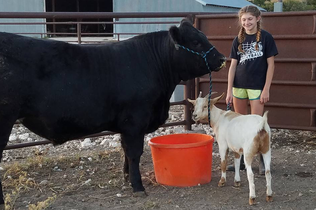 Catch-a-Calf Contest