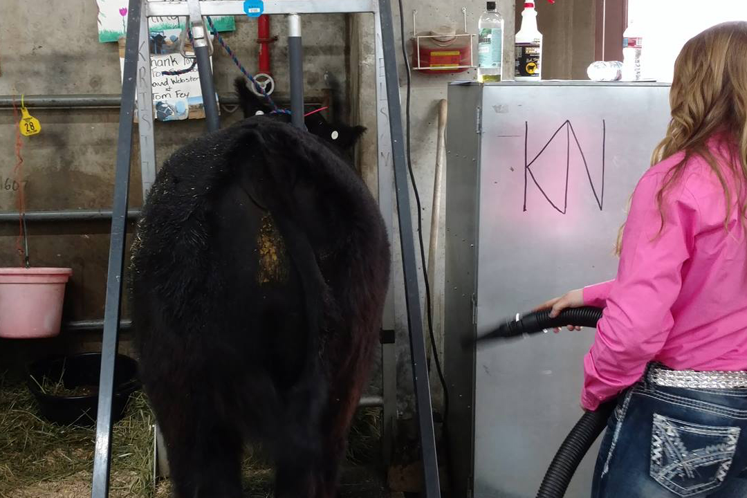 Catch-a-Calf Contest