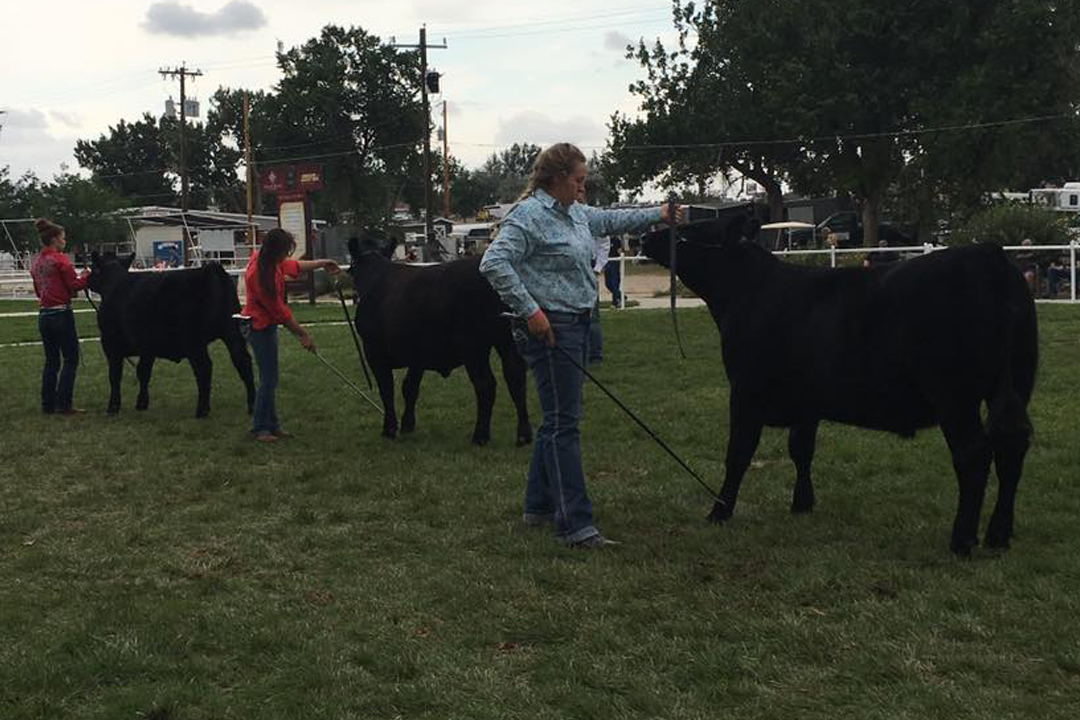 Catch-a-Calf Contest