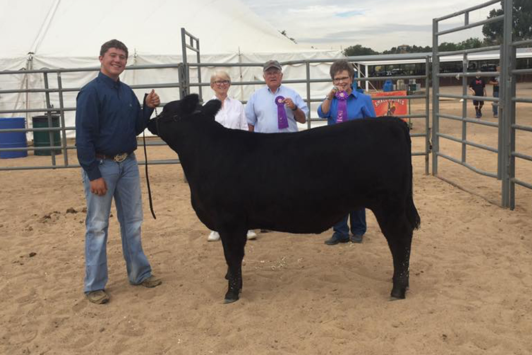 Catch-a-Calf Contest