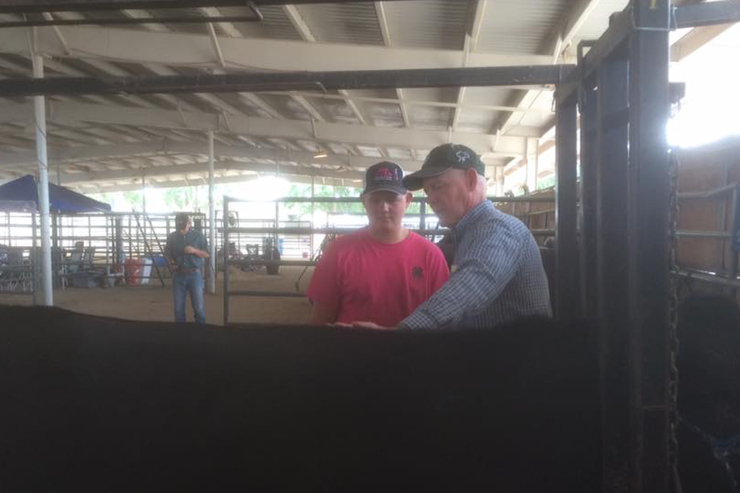 Catch-a-Calf Contest