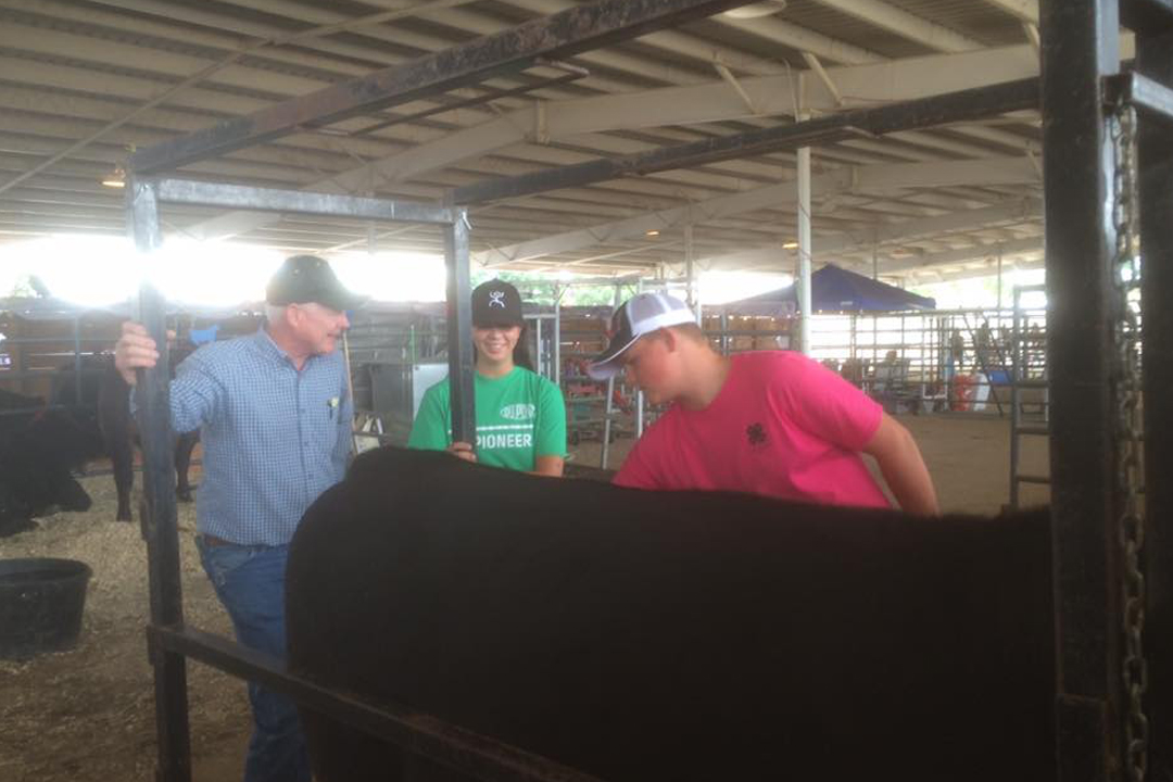 Catch-a-Calf Contest