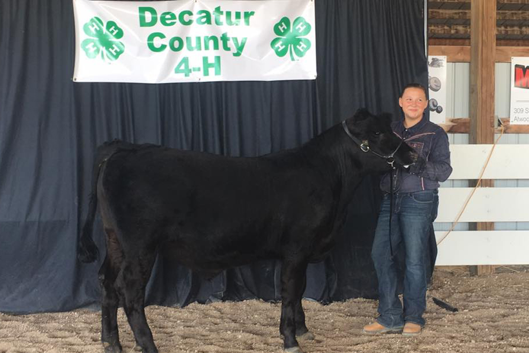 Catch-a-Calf Contest