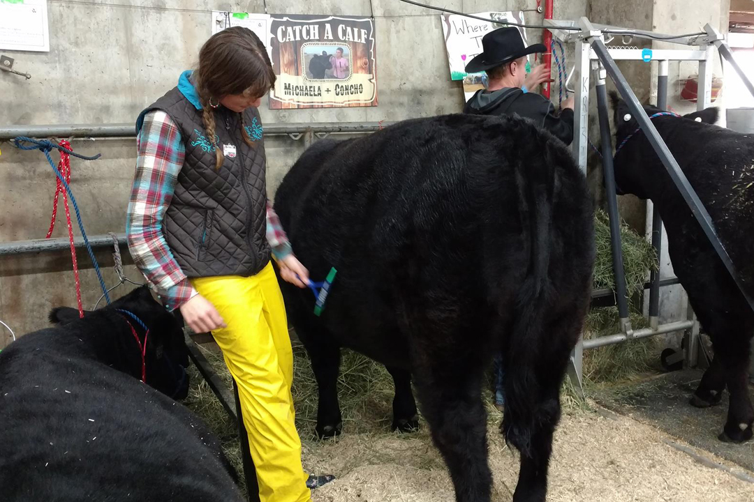 Catch-a-Calf Contest