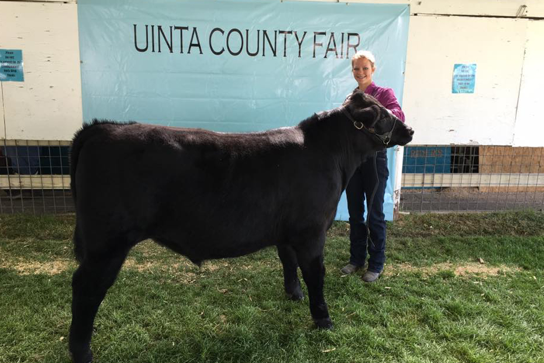 Catch-a-Calf Contest
