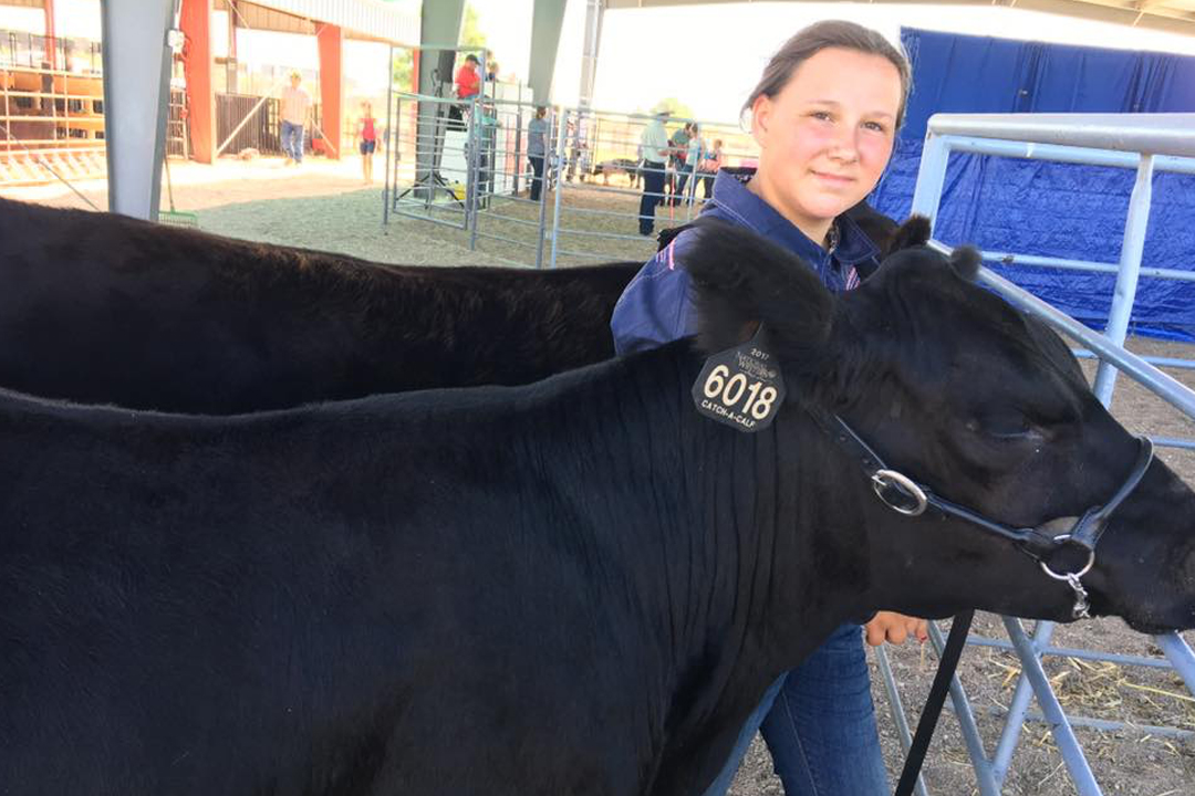 Catch-a-Calf Contest