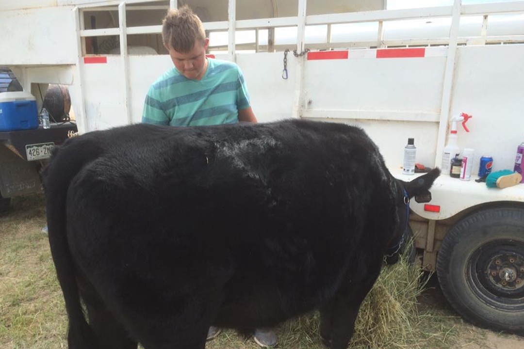 Catch-a-Calf Contest