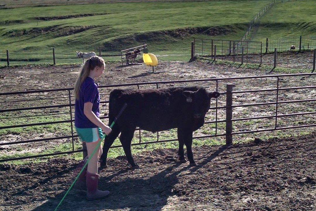 Catch-a-Calf Contest