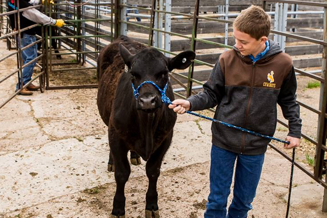 Catch-a-Calf Contest