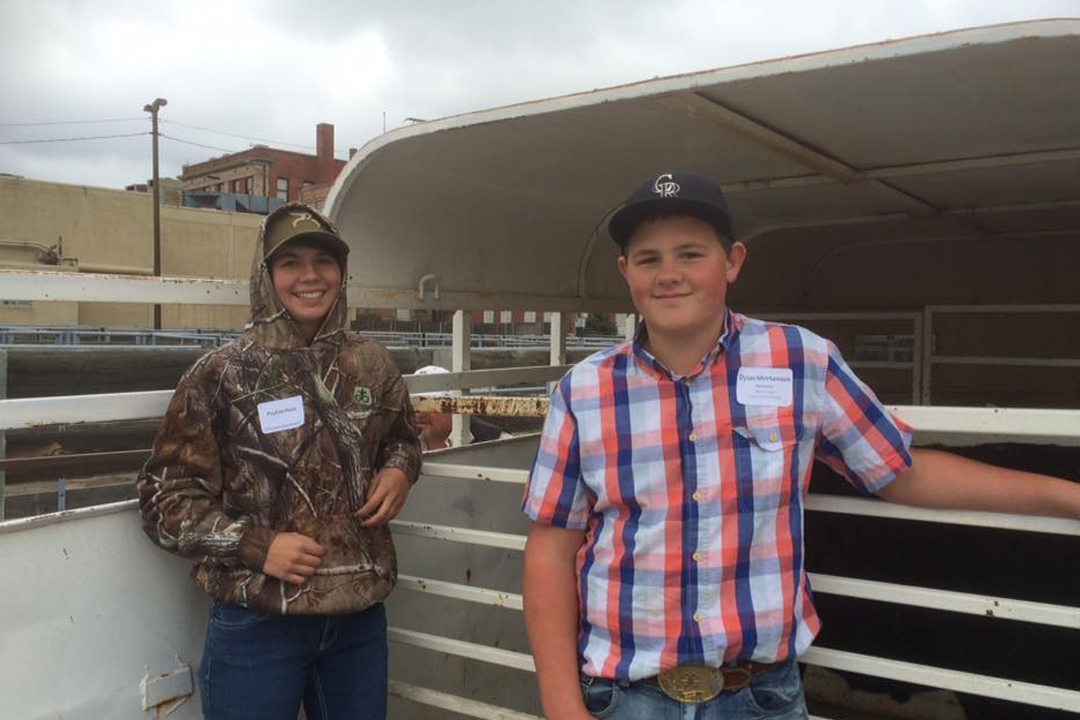 Catch-a-Calf Contest