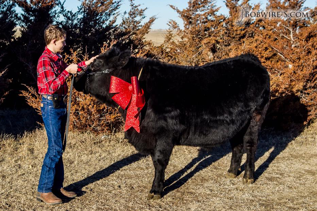 Catch-a-Calf Contest
