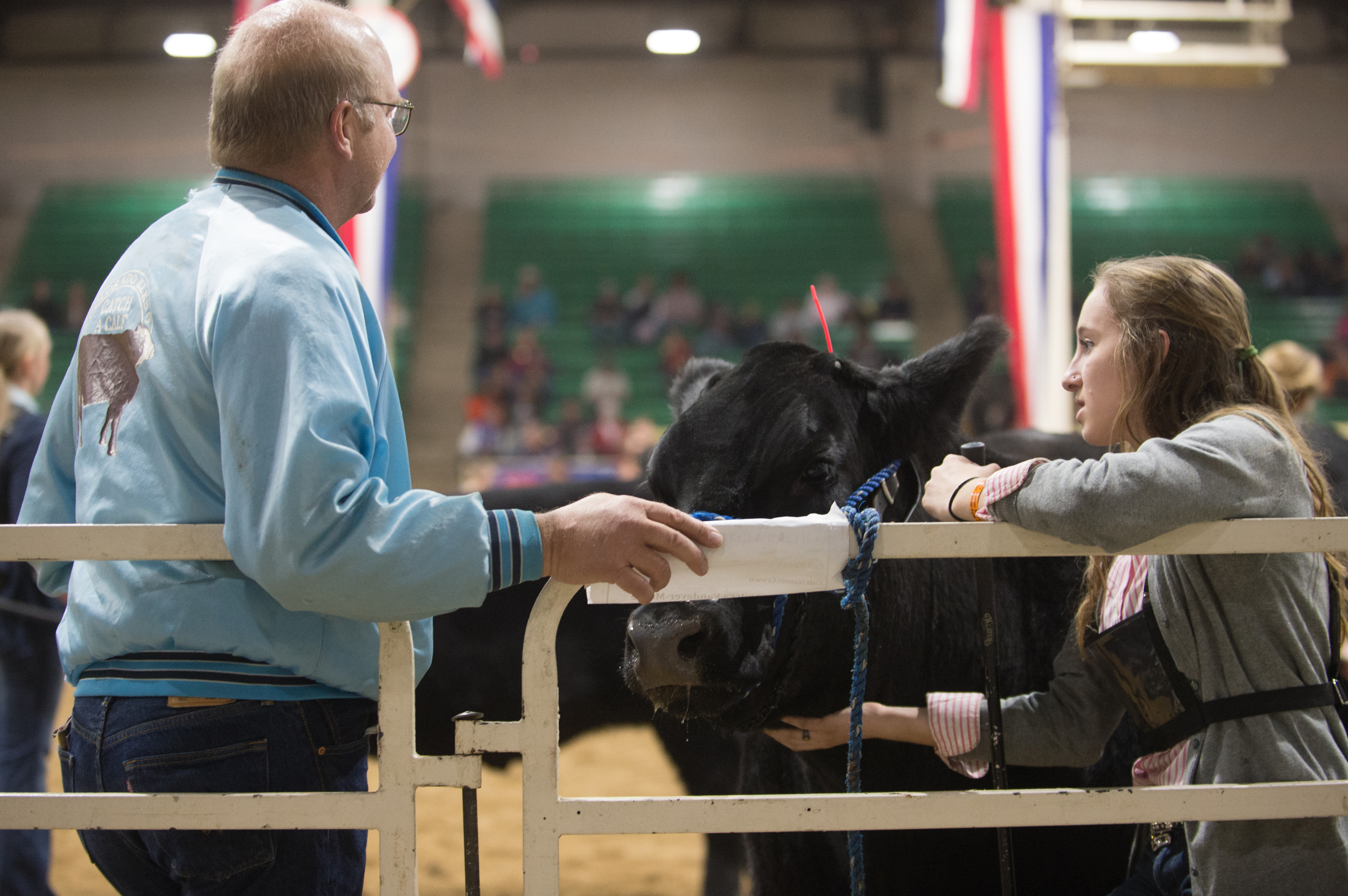 Catch-a-Calf Contest