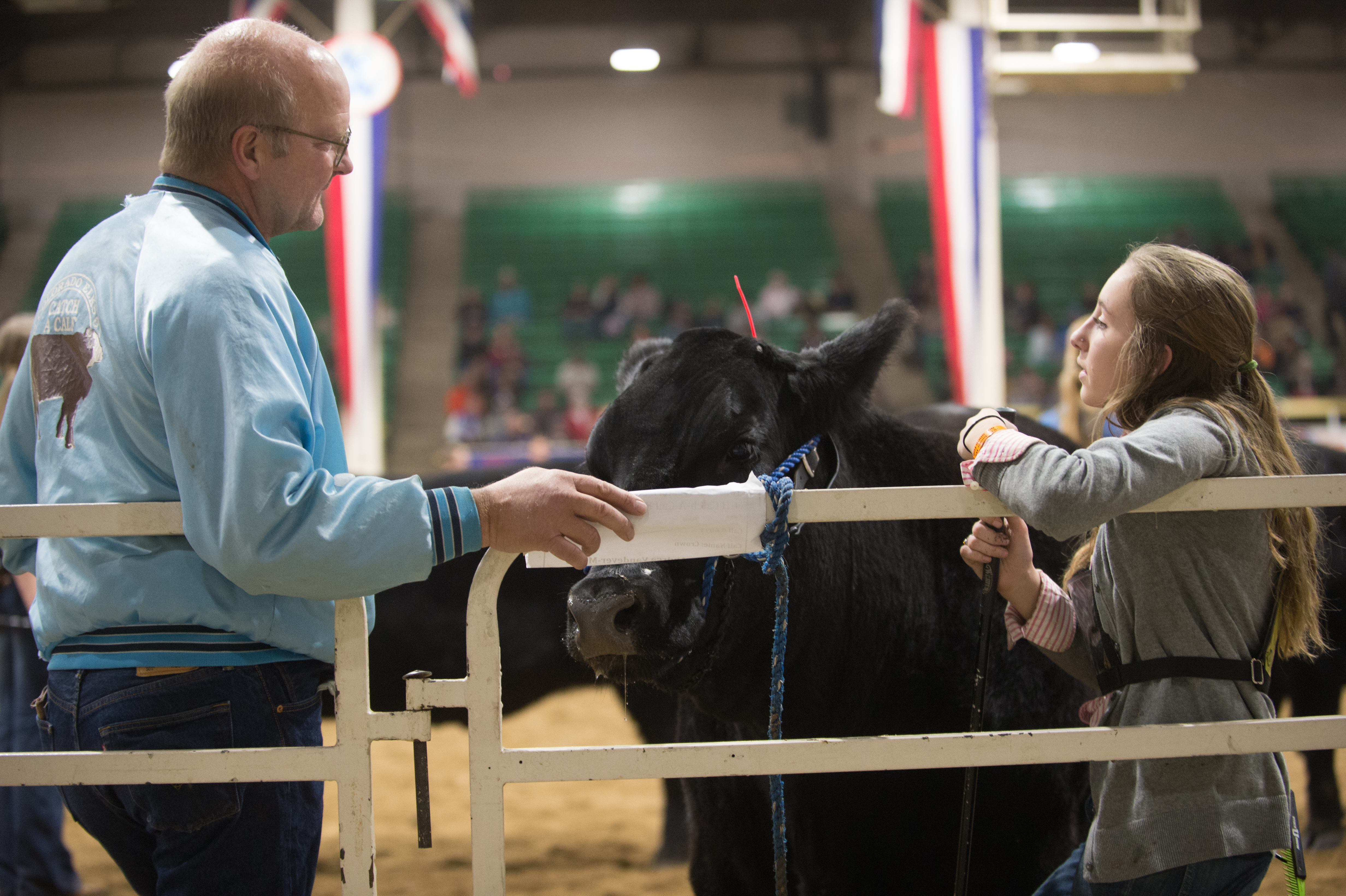 Catch-a-Calf Contest
