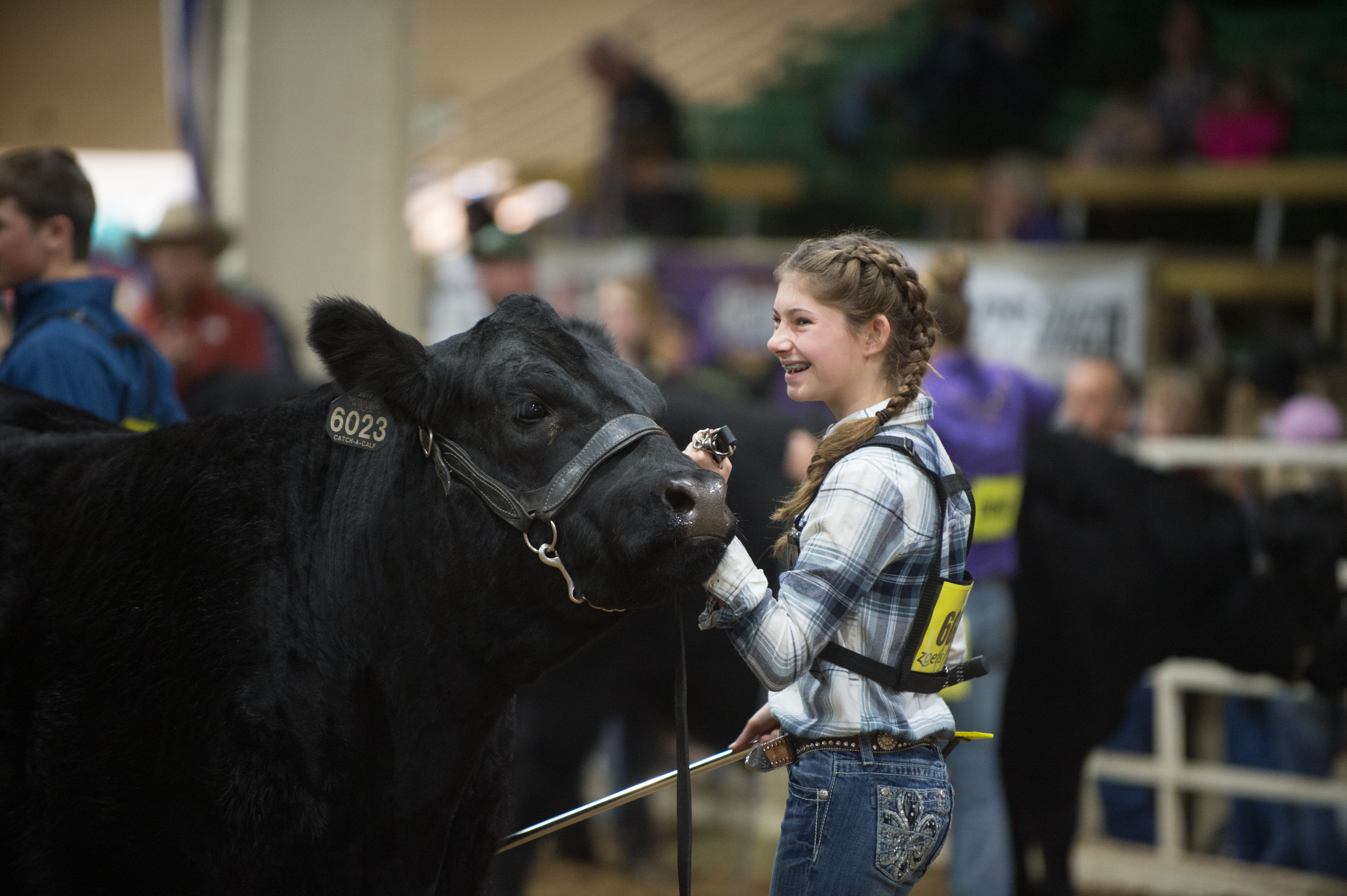 Catch-a-Calf Contest