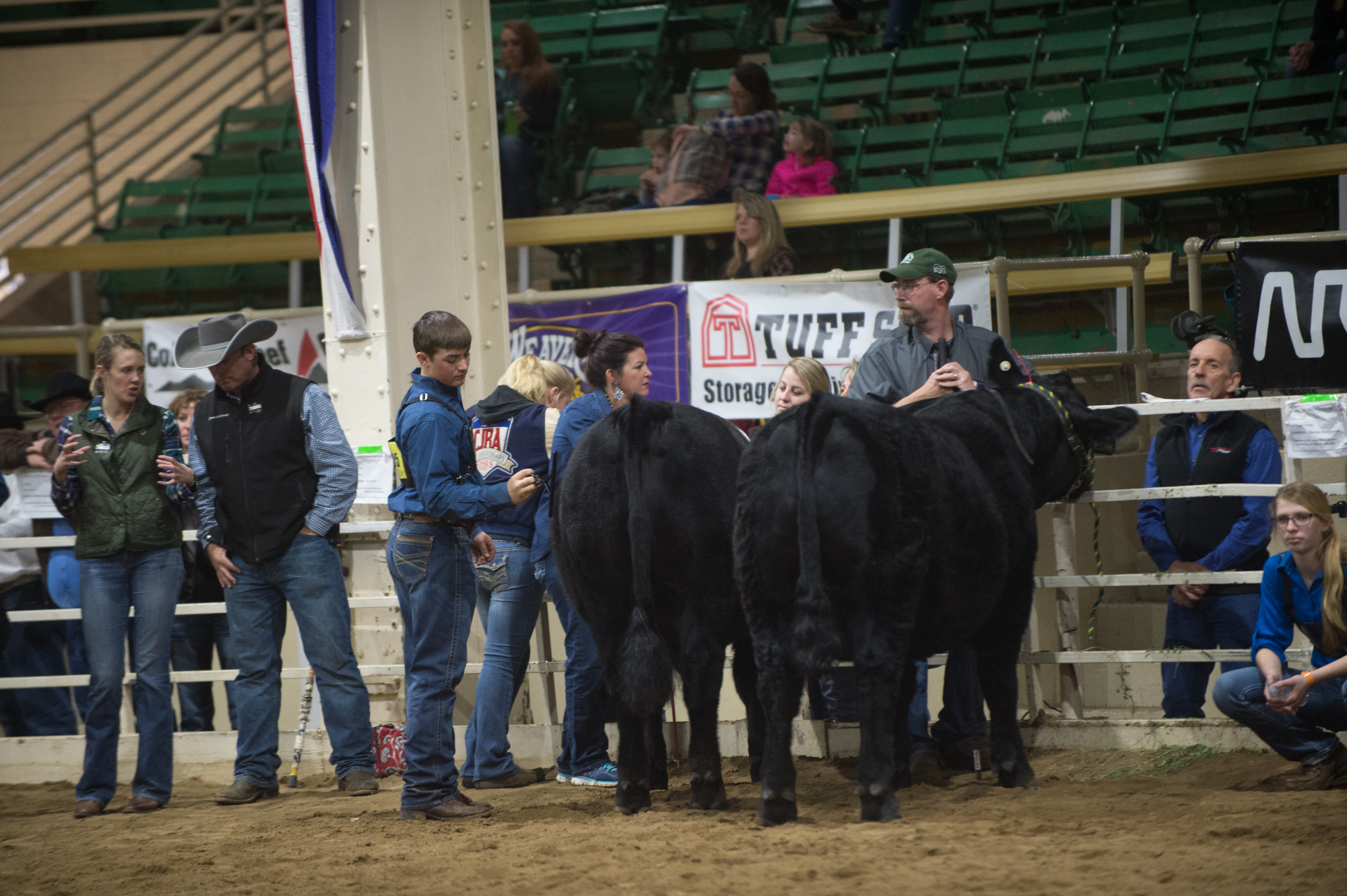 Catch-a-Calf Contest