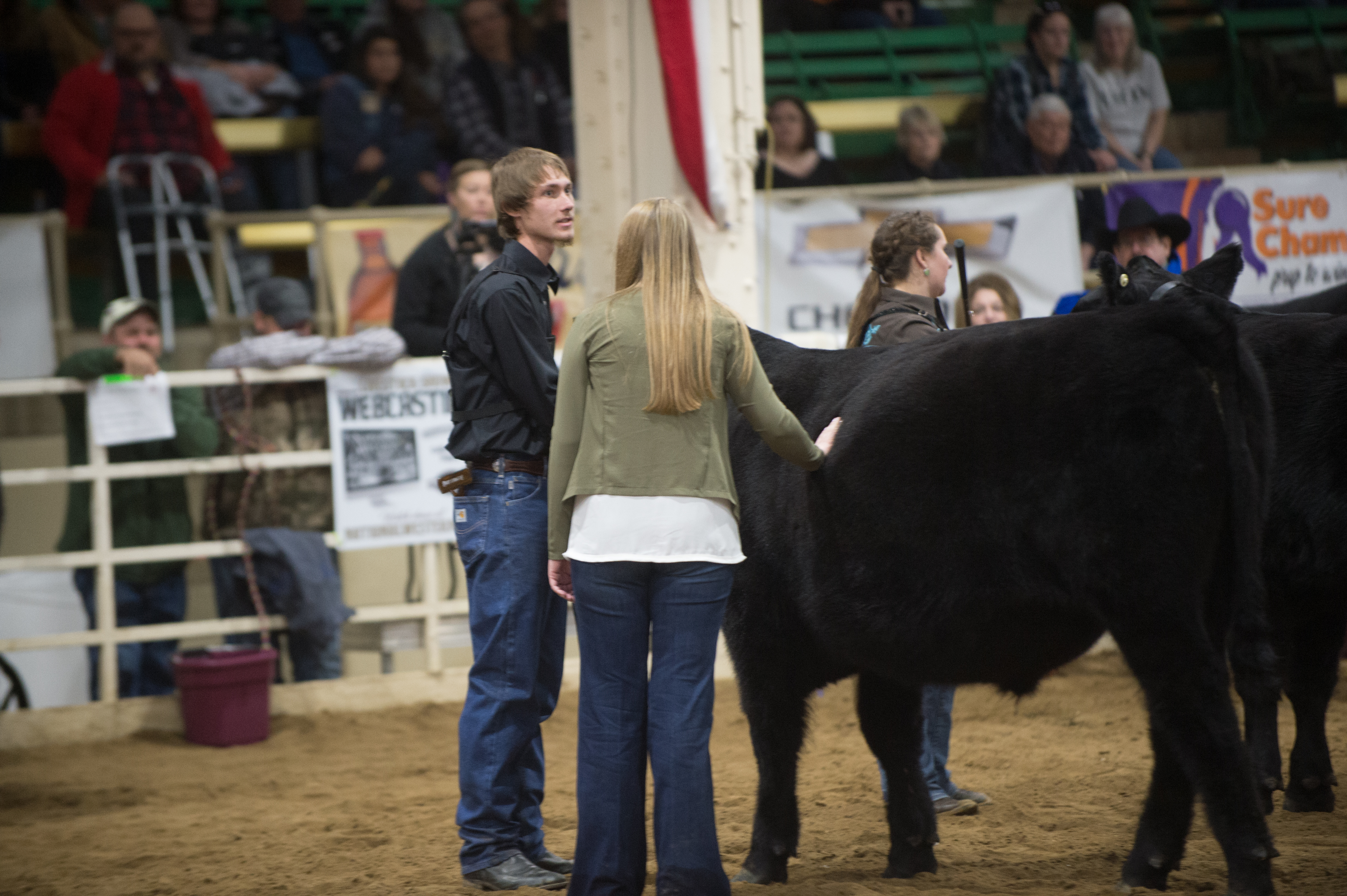 Catch-a-Calf Contest