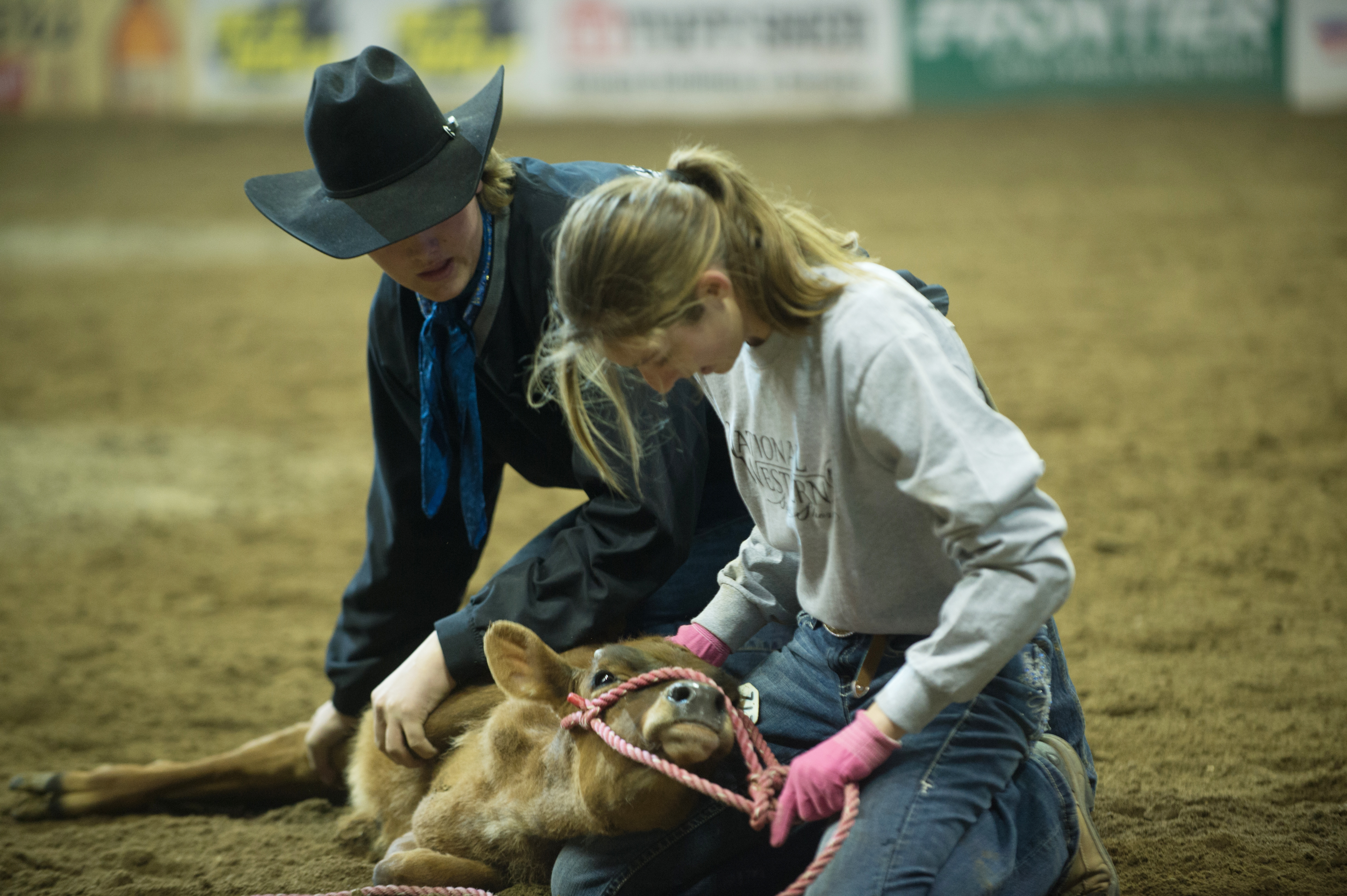 Catch-a-Calf Contest