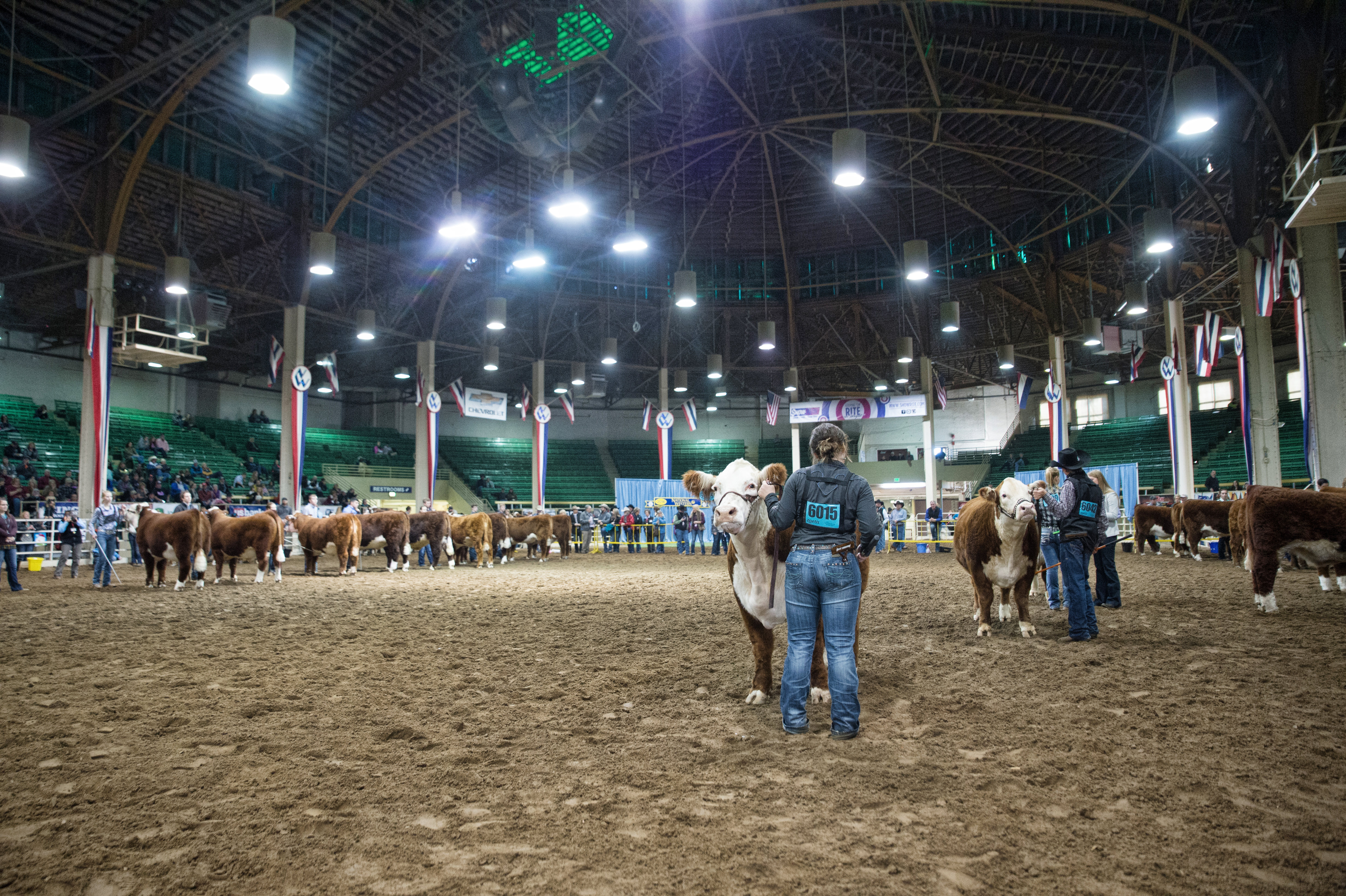 Catch-a-Calf Contest