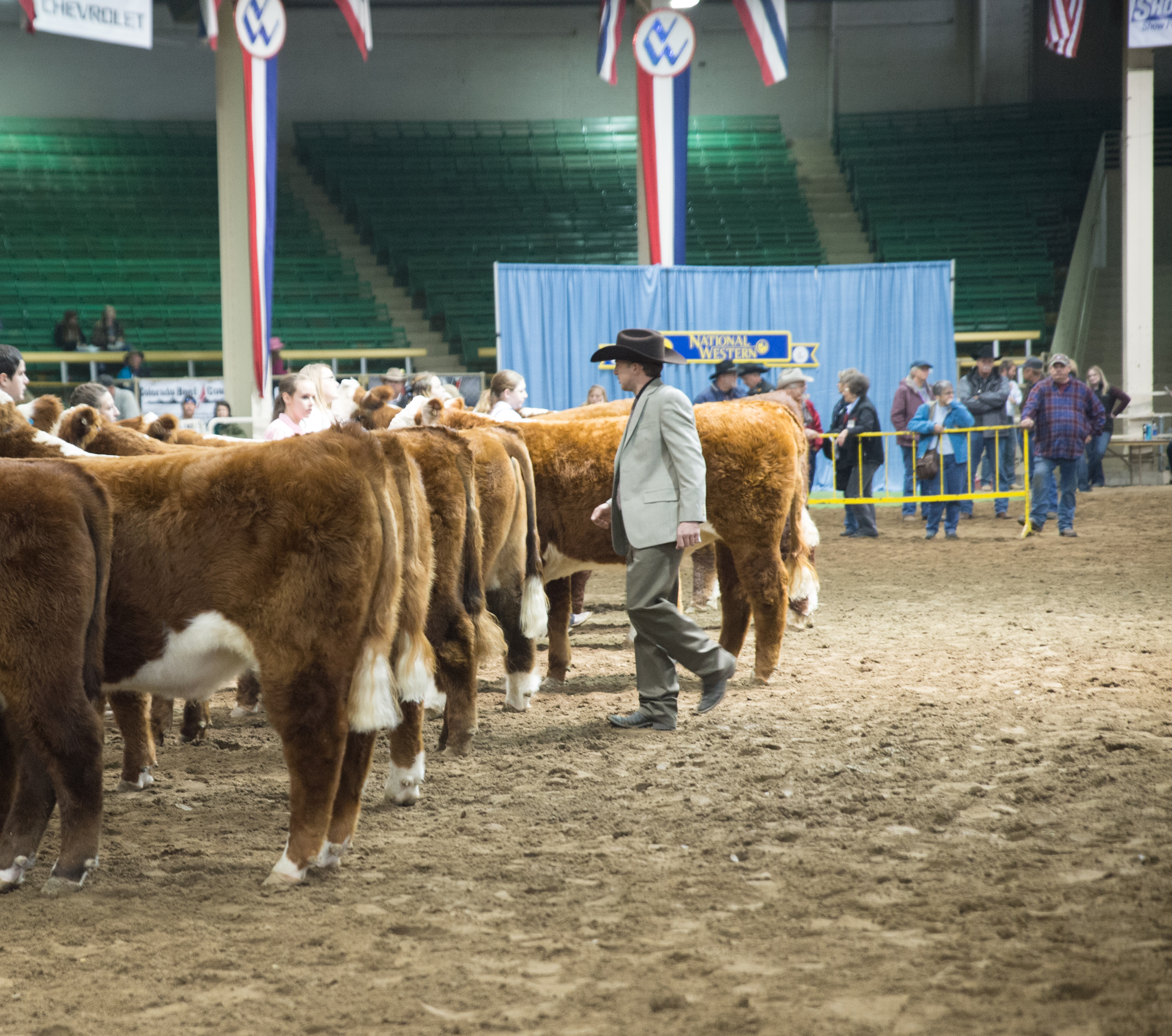 Catch-a-Calf Contest