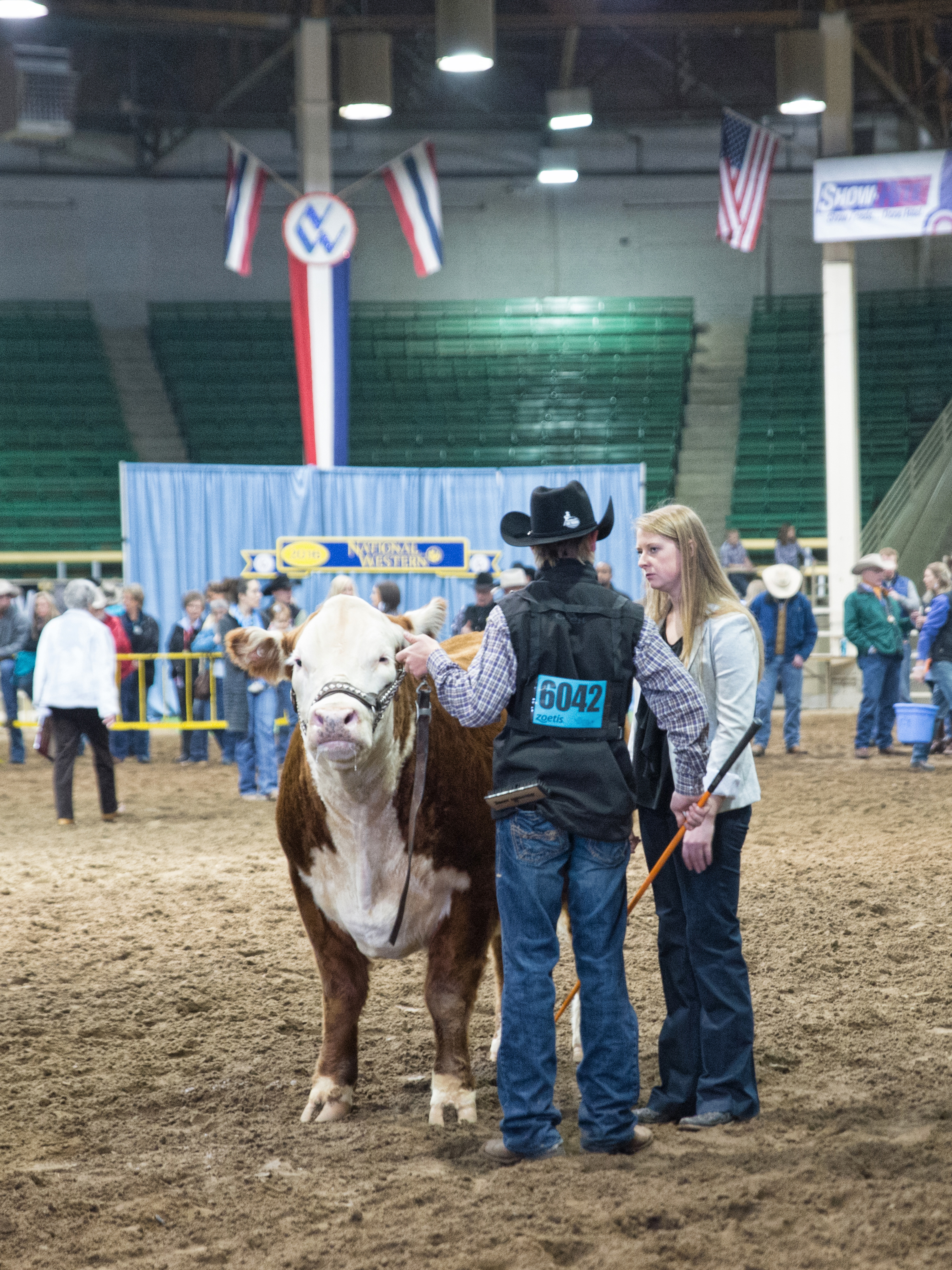 Catch-a-Calf Contest