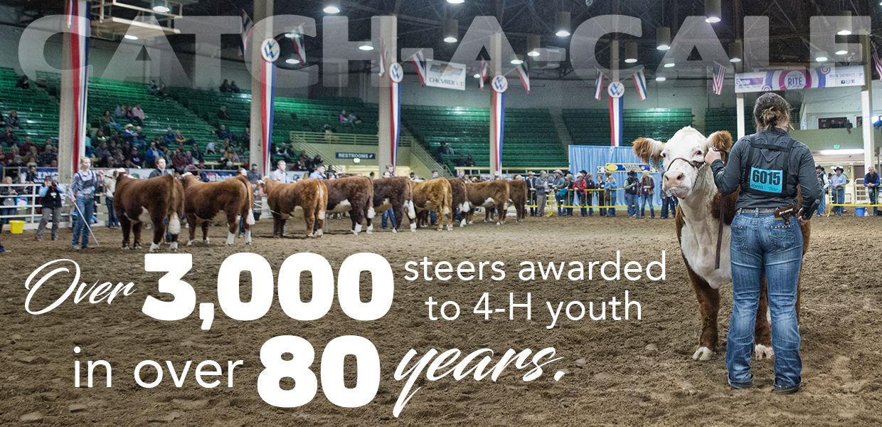 Denver Cattle Show 2024 Image to u