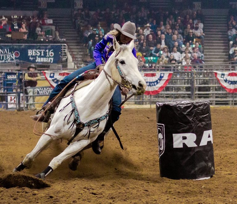 PRESS RELEASE: Stock Show Debuts New Pro Rodeo Format | National ...