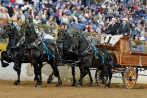 Draft Horse, Mule & Donkey Show @ CINCH Arena/Events Center
