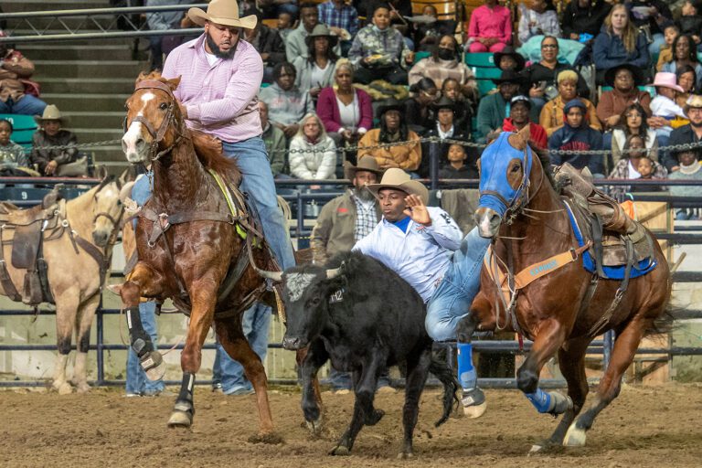 RODEOS - National Western Stock Show