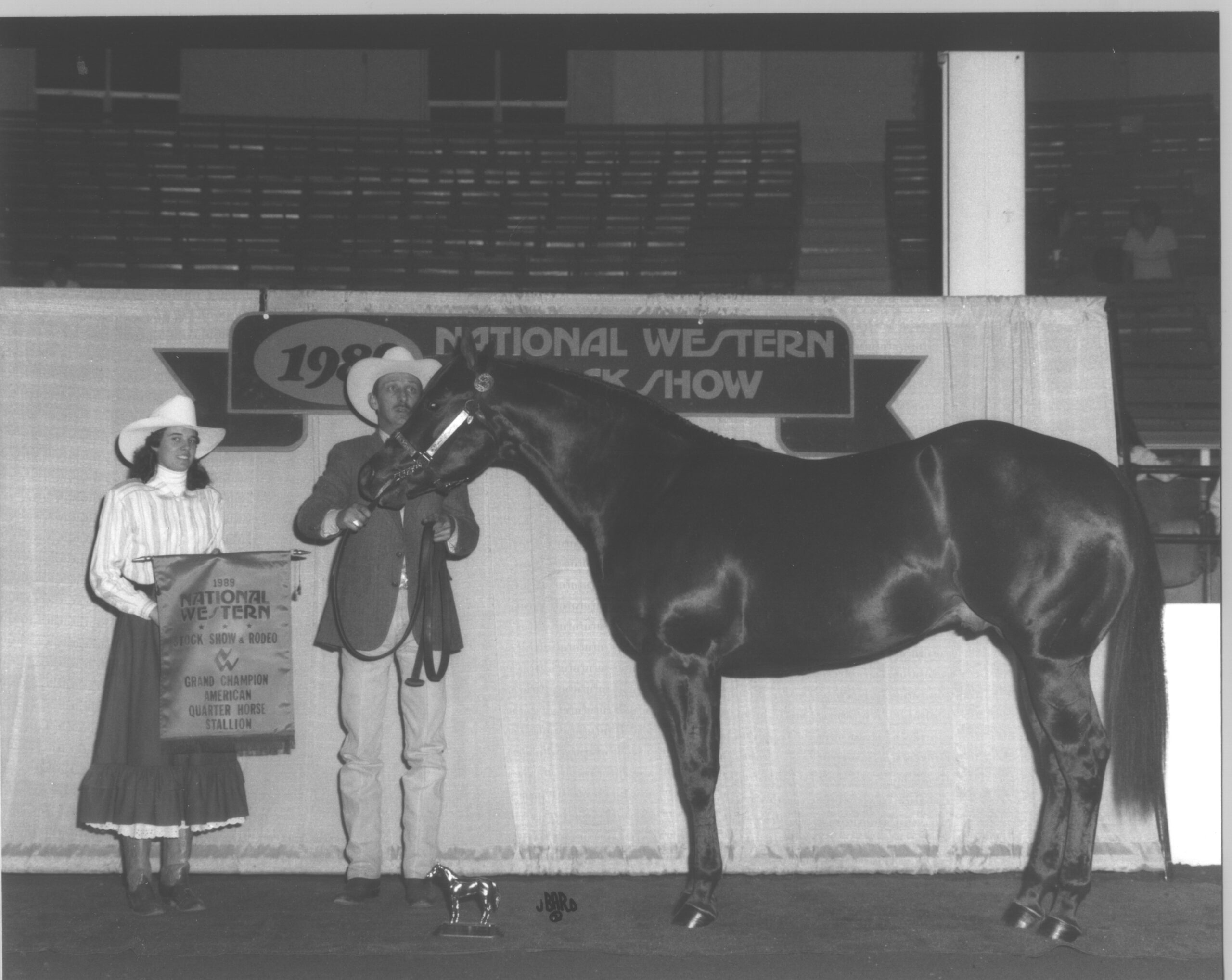 1989 Champion Quarter Horse Stallion