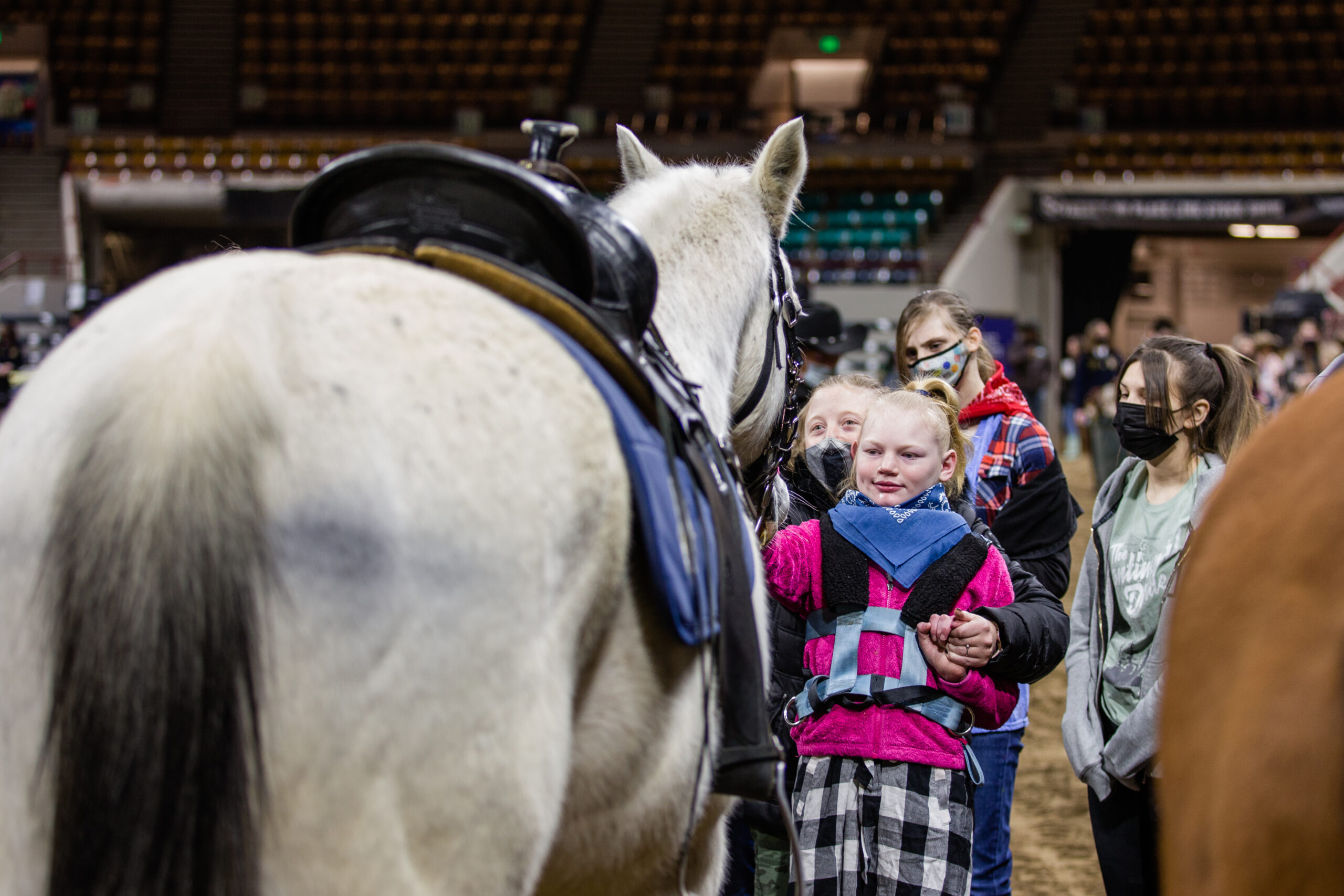 Auction of Junior Livestock Champions, female steer exhibitor is interview on the auction block by Kathy Sabine of 9News