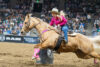 Pink Pro Rodeo RODEOS - National Western Stock Show
