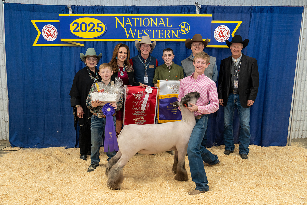 2025 Grand Champion Lamb 