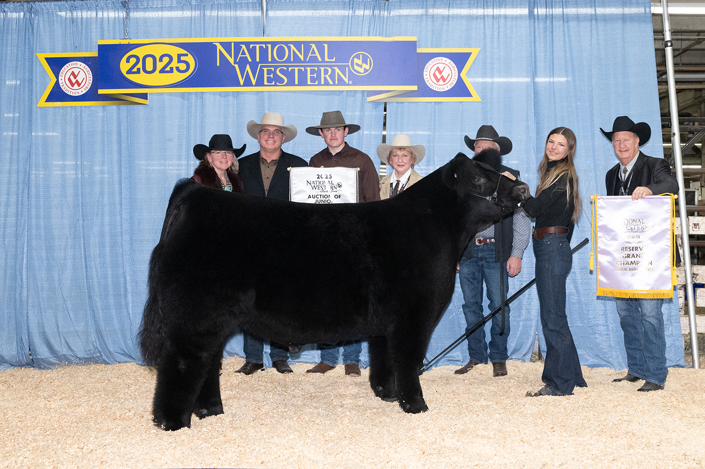 2025 Reserve Grand Champion Steer 