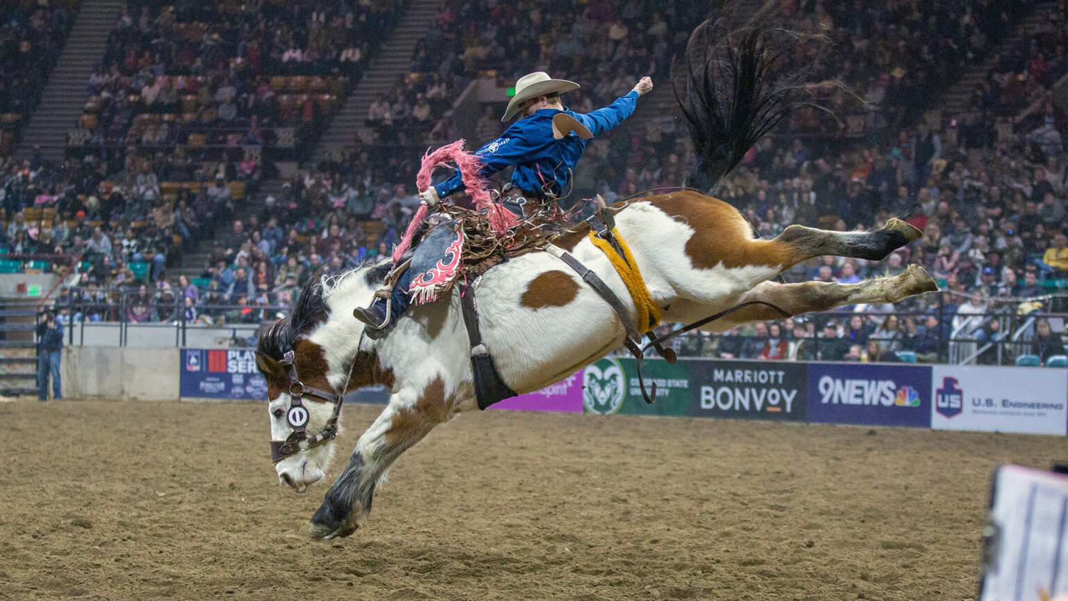 Pro Rodeo Denver Coliseum Events from January 10, 2026 – January 13, 2026 | National Western ...