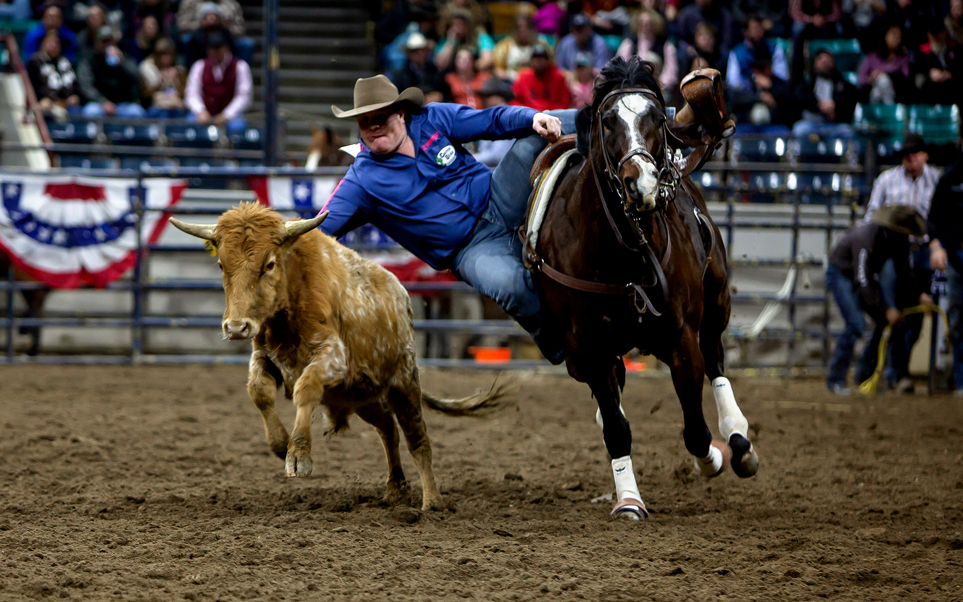 Trach Rodeo Stock Animal Wellness - National Western Stock Show