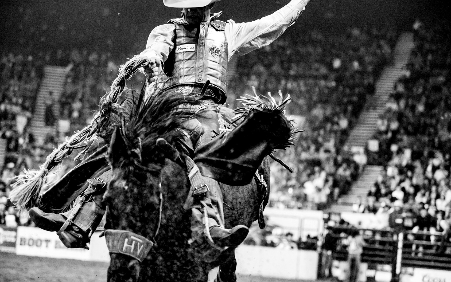 Trach Rodeo Stock Non-Profit Mission - National Western Stock Show