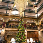 tree-bp-104A6817